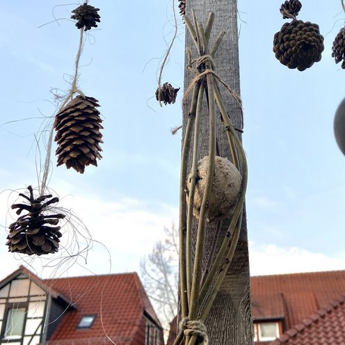 Für die Vögel gibt es auch in der Winterpause etwas zu naschen