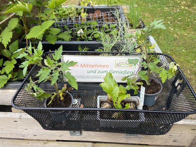 NaschgartenZuVerschenken.jpg NaschgartenZuVerschenken.jpg