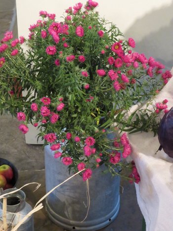 11Ernteschmuck9.jpg 11Ernteschmuck9.jpg